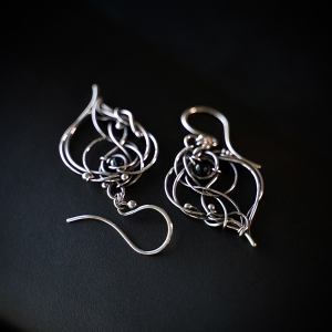 Physalis Nigrum Iza Malczyk